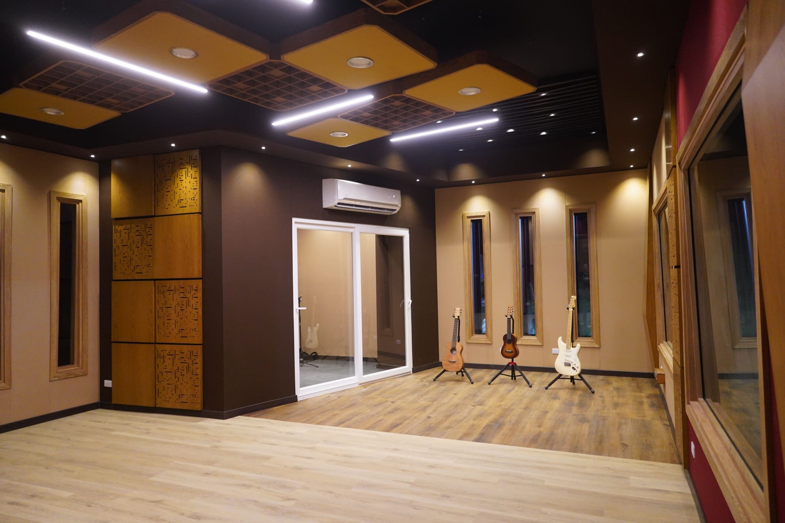 Estudio mono z1