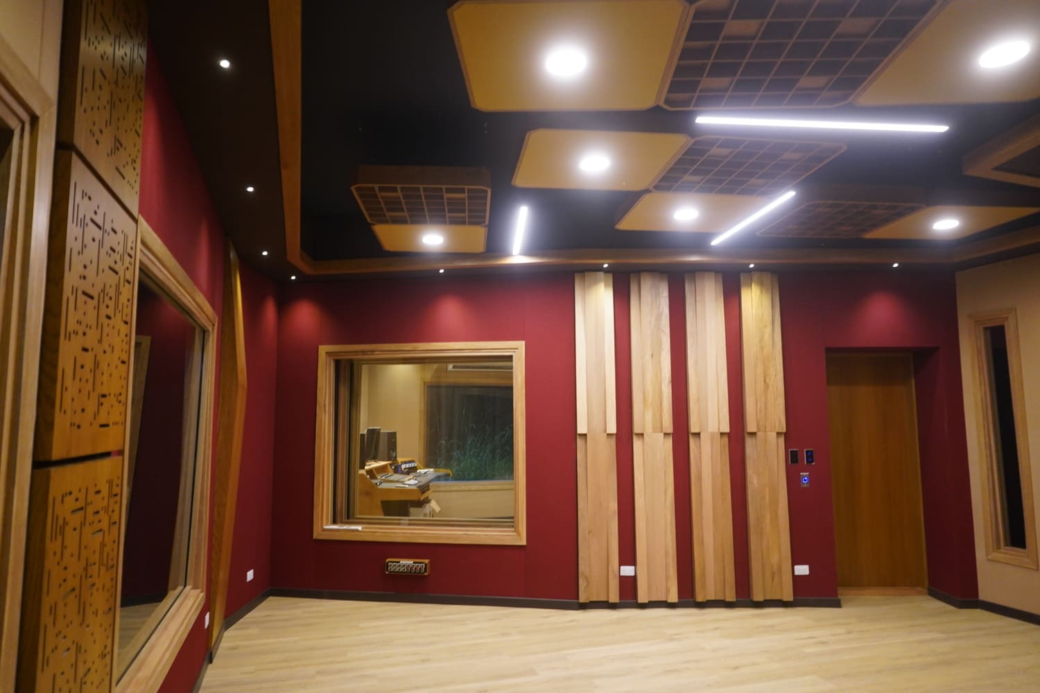 Estudio mono z6