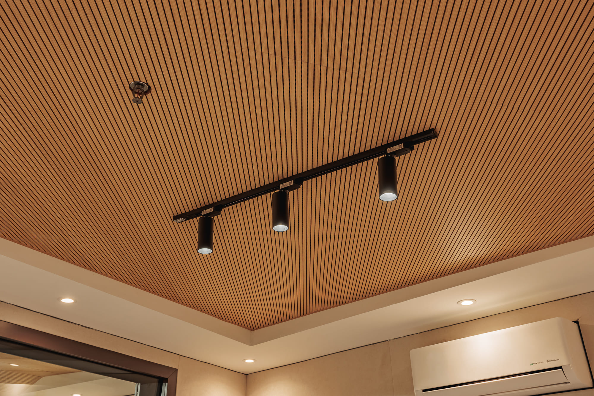 Estudio Fontana 11