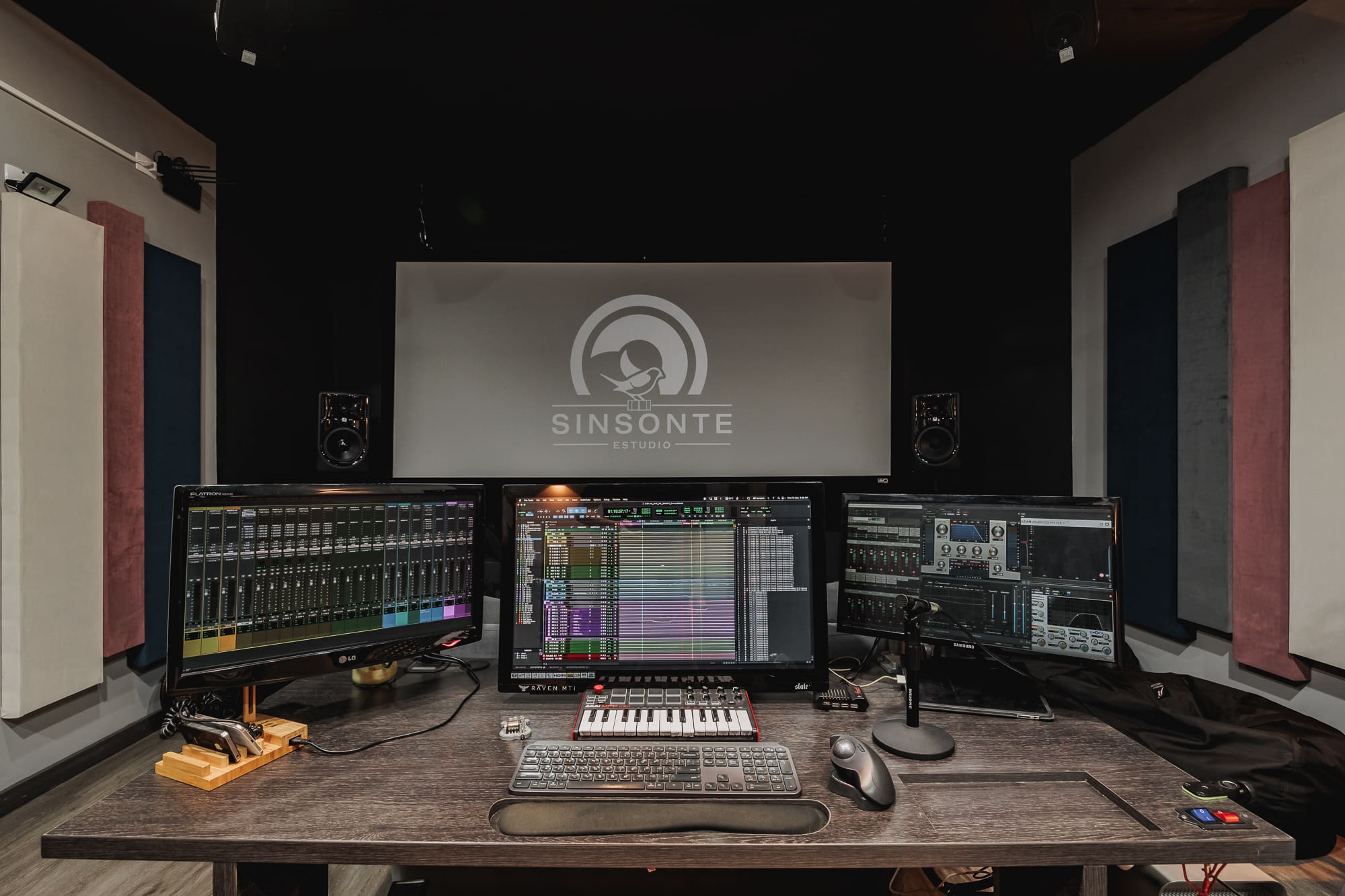 Estudio Sinsonte 4